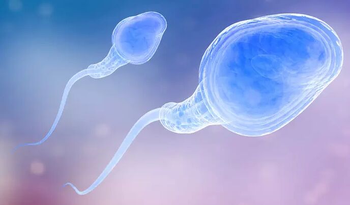 Spermatozoidi so lahko prisotni v moškem predejakulatu